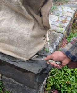 Here Pete uses a flat scraper to tuck the burlap underneath.