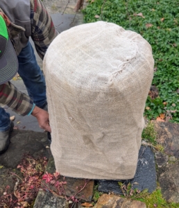 Here is the planter covered. It will stay here for the duration of the season until it is in uncovered and planted again in spring.