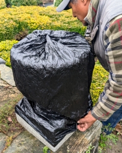 These containers are covered first in black plastic garbage bags.