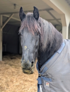 It's good, right Ulysses?