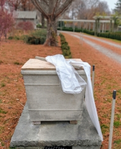 The same process is used for the giant planters along the carriage road under my bald cypress trees. Pete covers the top with a piece of plywood and then wraps the entire planter with strong plastic.