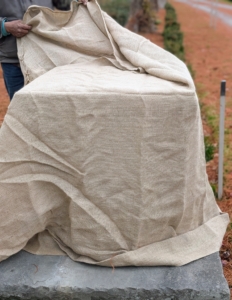 Here is Pete wrapping the entire vessel with burlap. It is always a good idea to wrap it first to estimate how much is needed and then cut off any excess. One doesn't want to accidentally cut too much.