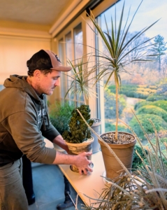I asked my head gardener, Ryan McCallister, to arrange the plants on the tables and add some more to the collection.