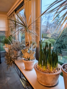 But then I had the idea to move in these two tables - narrow marble-topped tables on strong, black cast iron legs, that fit perfectly. They brighten up the porch right away.