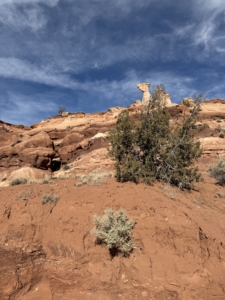 Long Canyon is a slot-canyon known for its towering red rock formations and views.