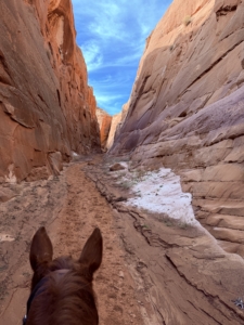 On another part of the trip, we enjoyed a trail ride. This is Long Canyon. Here I am riding through the area on my trusted foxtrotter mare, Sadie.