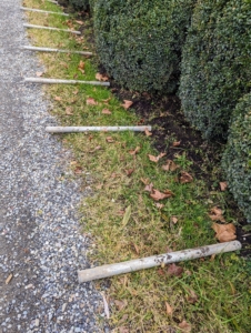 To start, pieces are placed along the allée in a production line process.