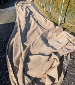 The burlap gets reused from year to year whenever possible. When it is removed in spring, it is rolled up, labeled and then stored in the dry stable barn until it is used again. This is one of last year’s burlap covers – still in excellent condition. Depending on the quality of the burlap, these covers can last through two seasons, sometimes three.