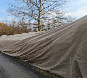 Boxwood grows every year, but these covers still fit the shrubs with plenty of room.