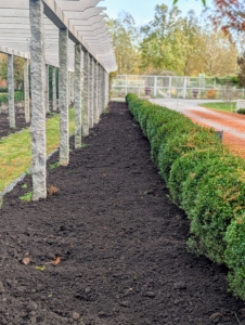 All the garden beds are also mulched. This is one section of my long pergola garden, newly planted with thousands of spring blooming bulbs.