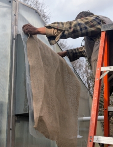 Here’s Pete wrapping the exterior vents around my small greenhouse. These vents are first covered with a layer of plastic and then burlap.
