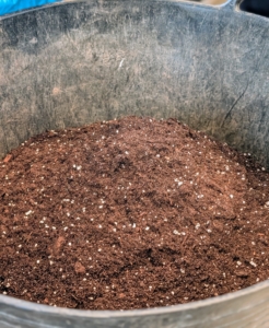 I use Miracle-Gro Seed Starting Potting Mix, which is specially formulated for fast root development.