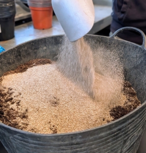 Ryan adds some vermiculite to the potting soil. Vermiculite is typically gray-brown in color. It is a naturally occurring mineral often used as a soil amendment to retain moisture.