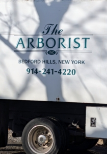 If trees need to be removed, make sure it is done by professionals who can get the task completed quickly and safely. Thanks The Arborist!