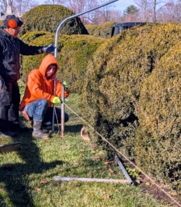 As with many projects at the farm, preparation is key. Here, Alex and Phurba secure twine at one end to provide a straight guide for the pipe placement.