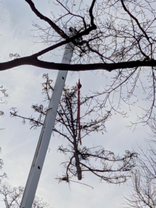 Thankfully this day was not too windy and the section was brought down smoothly.