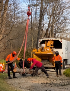 Crew members remain on the ground to guide the log as it is lowered.