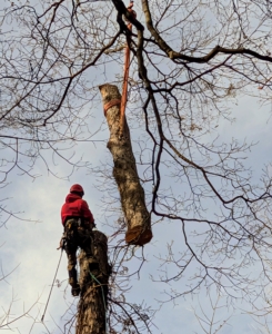 And another section comes down.