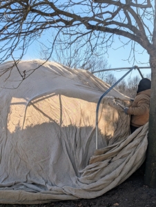 ... and then over the metal frame. It takes a couple of crew members to get the burlap over the frame peaks.