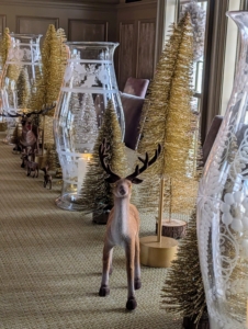 ... Along with several deer and moose.