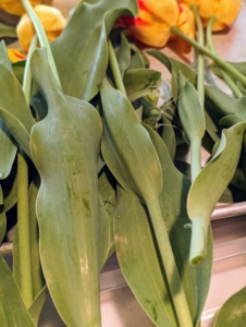 To remove the leaves, gently pull them back and peel them away from the stem.