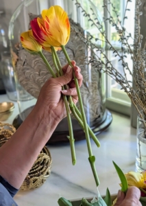 I like to keep similar colors and varieties together, but tulips can be mixed depending on preference.