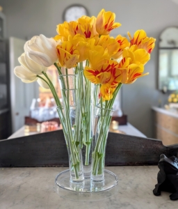 This arrangement is placed on this counter in my servery, where I can see them every day on my way to the kitchen.