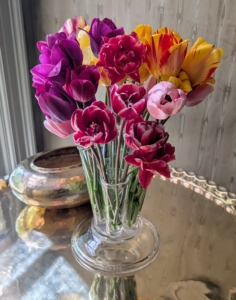 These tulips are displayed in my sitting room on a brass tray table. Keep cut flowers in a cool area as heat reduces the bloom time. I hope you can bring some flowers inside from the garden and enjoy the beautiful spring blooms.