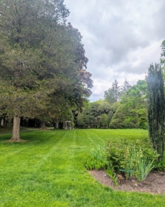 The gardens are meticulously manicured and maintained. Some of the original gardens were planted around 1912, making them one of the oldest native features of the estate.