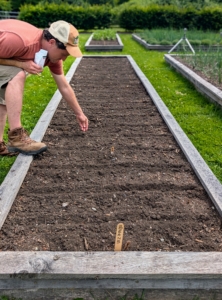 Here Ryan plants the beans. These bean seeds are planted about an inch to an inch-and-a-half deep. Ryan plants the seeds in rows that are about a foot apart. All the beds are raised slightly and all surrounded by wood frames.