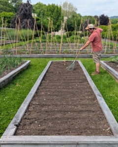 Once planted, Ryan rakes the bed, covering all the seeds with soil.