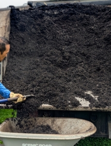 In the maze, Chhiring moves mulch into a wheelbarrow to dress the many shrubs. It's an arduous job to mulch my three-acre maze, but I am so glad I am able to make all the mulch right here at the farm.