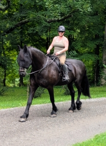 My stable manager, Helen Peparo, rides the horses regularly to keep them mentally stimulated and exercised. I have four miles of carriage road at the farm topped with gravel for good footing.
