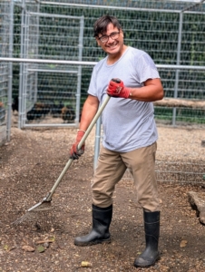 In the chicken coops nearby, Cesar my resident bird expert, rakes the gravel clean of any old food or debris.