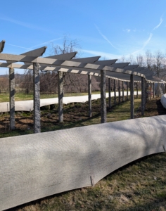 In winter, my pergola is sleeping – the boxwood border is covered in burlap and the beds are bare.
