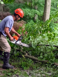 STIHL’s most well-known tool is the chainsaw. STIHL designed and built its first chain saw in 1926 and 100 years later, it is still one of its best pieces of equipment.