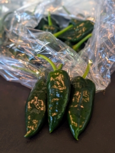 I also grow many hot peppers to share. These thrive in full sun and are ready to pick when they are firm, green, and about three inches long. Be careful when picking peppers – always keep the hot ones separated from the sweet ones, so there is no surprise in the kitchen.