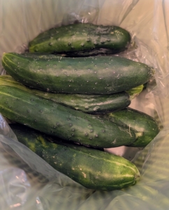 Here’s the season’s first big bounty of cucumbers. Cucumbers, Cucumis sativus, are great for pickling – I try to find time for pickling every year. I like them best when they are about six to eight inches in length. These will be so sweet and juicy.
