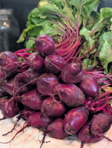 And look at all the beets that were picked. Beets grow so well here at the farm. The beetroot is the taproot of the beet plant, and is often called the table beet, garden beet, red or golden beet or simply… beet.