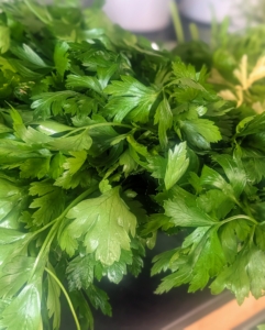 Also great in my green juice is parsley. I always grow parsley in the garden. Parsley is a low-calorie, nutrient-dense herb that is rich in vitamins, minerals, and antioxidants.