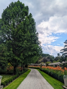 The entire pergola border and its surrounding gardens, trees, and other specimens provide a spectacular show every year.