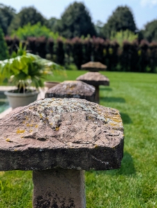 At one end of the pool, I have these five antique staddle stones. Staddle stones were originally used in the 17th and 18th centuries as support bases for granaries, hayricks, and game larders.