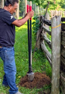 Pete uses a post hole digger to loosen the soil around the old post. A post hole digger is also known as a clamshell digger, because of its resemblance to the seaside shell.