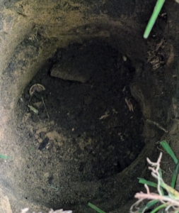 Here is the three and a half foot hole ready for the new post.