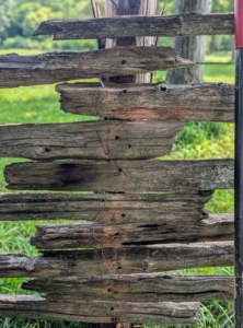 Pete does this process carefully and thoughtfully so as not to damage these antique railings.