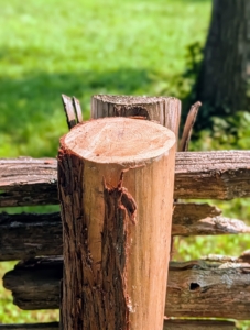 Cedar is extremely durable and holds up well to outdoor weather conditions.