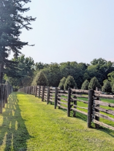 Preserving and Maintaining My Antique Fences Preserving and Maintaining My Antique Fences