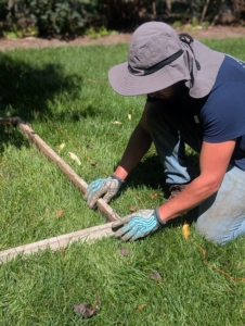 Any grass within the frame is trimmed and covered.