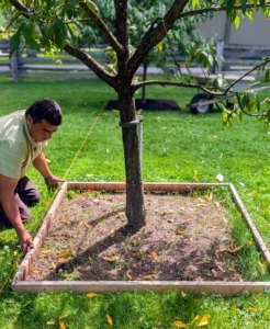 I wanted each tree pit to be about four feet square. My outdoor grounds crew foreman built simple wooden square frames that could be placed down and removed easily.