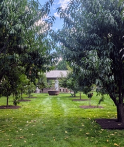 The crew has completed a good number of pits already. Maintaining a garden space correctly and thoughtfully will go far beyond just growing plants and trees, it will encourage vibrant growth and higher yields, which are very good things.